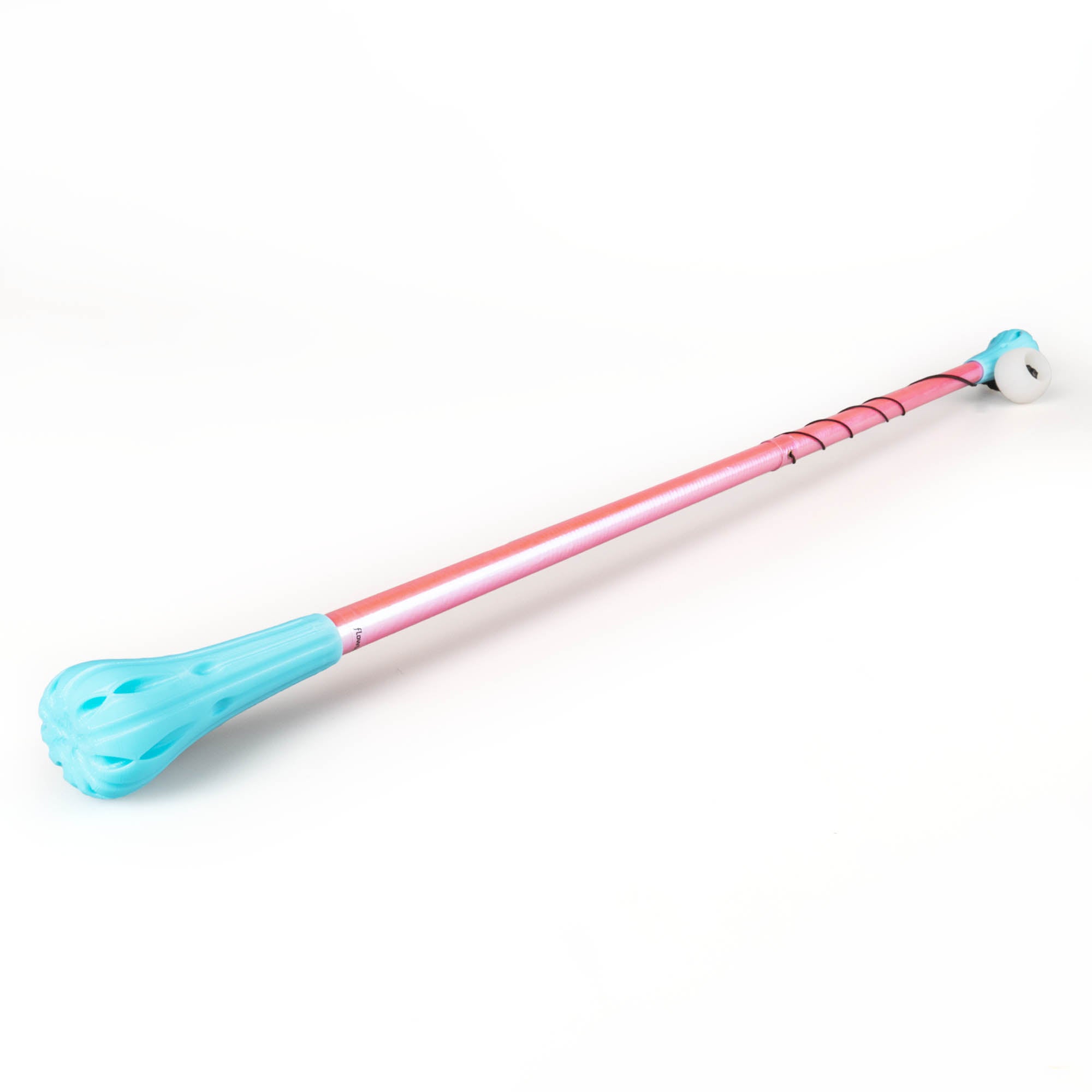 Pink and blue allium wand on white background